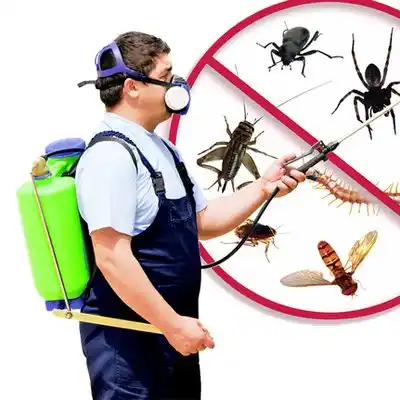 pest control Sullivan